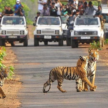 Shymbulak Ski Resort