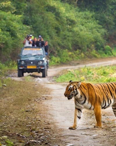 Best Kerala Tour Packages