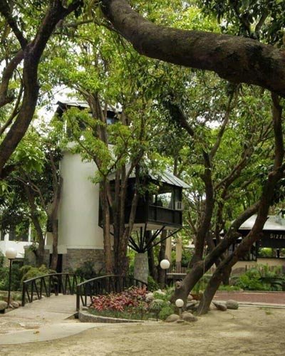 Best Kerala Tour Packages