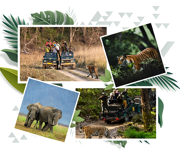 Kerala Tour Packages